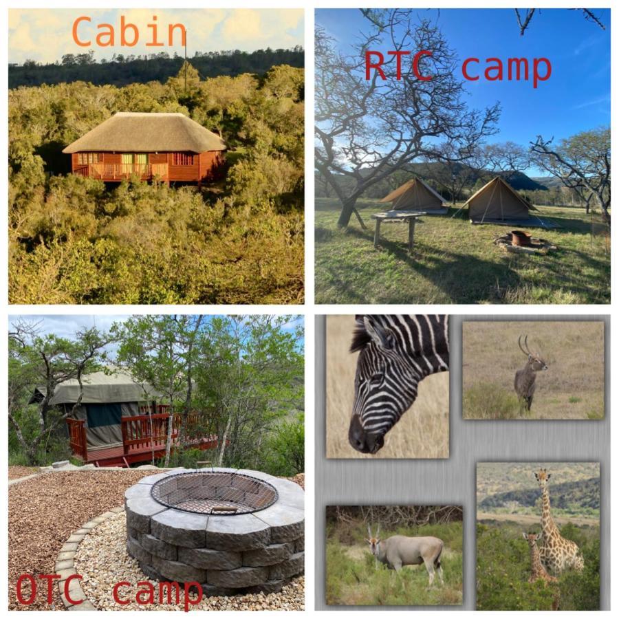 Horseshoe Game Reserve East London Exteriér fotografie