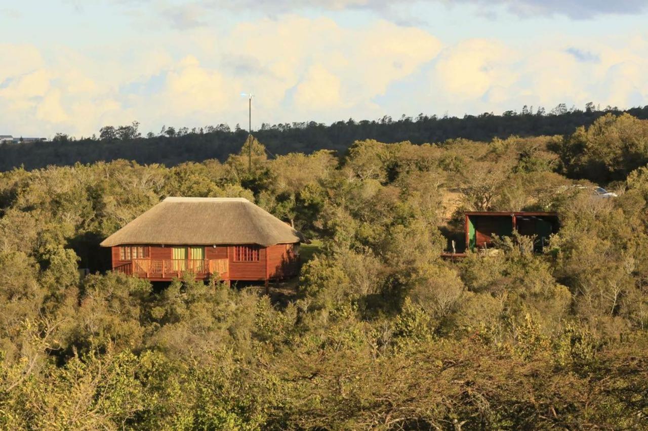 Horseshoe Game Reserve East London Exteriér fotografie